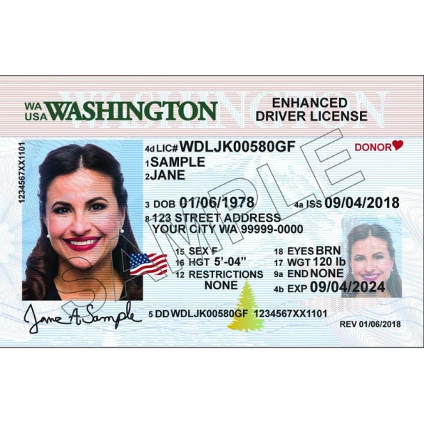 Buy Washington Driver License and ID Card