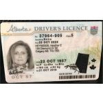 driver license ontario