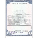 Buy Fake Birth Certificates Online