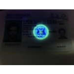 Michigan Driver License and ID Card