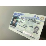 Michigan Driver License and ID Card