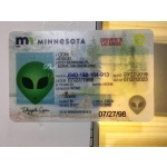 Minnesota Driver License and ID Card