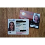 Quebec Driver License and ID Card