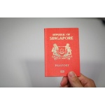 Buy Fake Singapore Passport Online