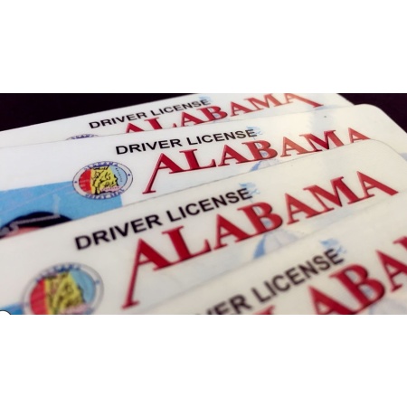 Buy Alabama Driver License and ID Card