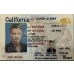 Driver license california