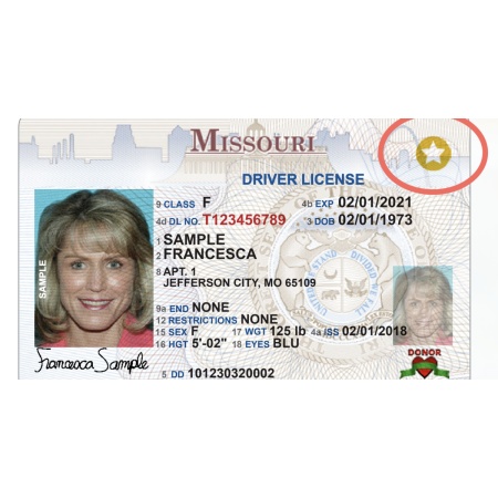 Buy Missouri Driver License and ID Card Online.