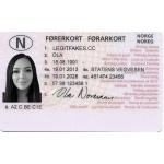 driver license norge