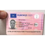 driver license rijbewijs