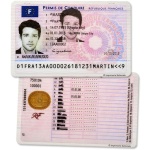 driver’s license france