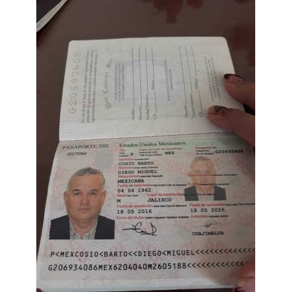 Fake Mexican Passport