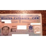 british columbia driver licence