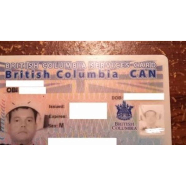 british columbia driver licence