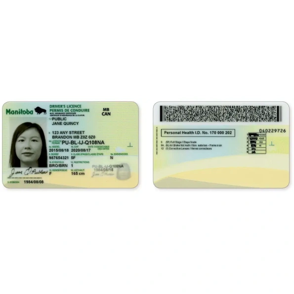 Manitoba Driver Licence