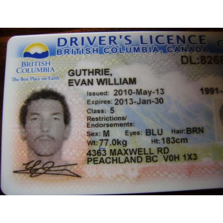 british columbia driver licence