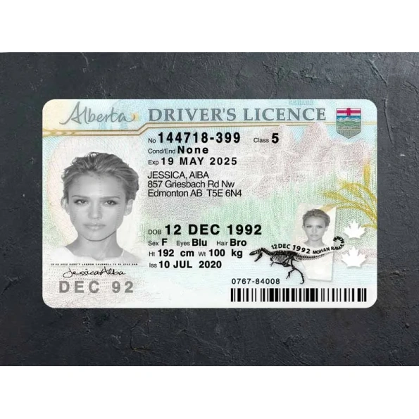 Alberta Driver Licence