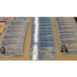 Alberta Driver Licence