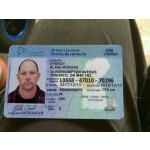 Ontario Driver Licence