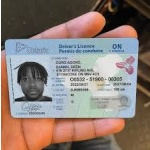 Ontario Driver Licence