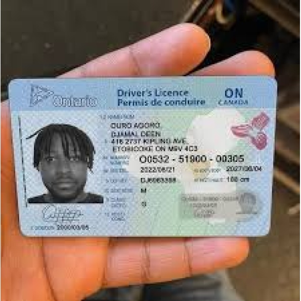 Ontario Driver Licence