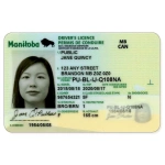 Manitoba Driver Licence