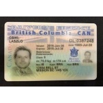 british columbia driver licence