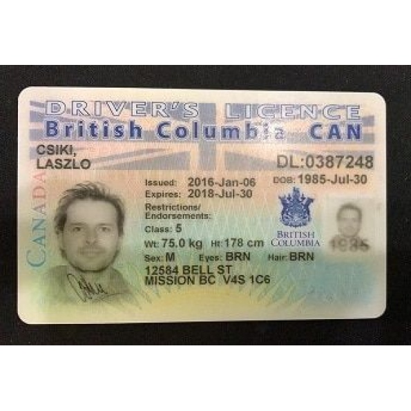 british columbia driver licence